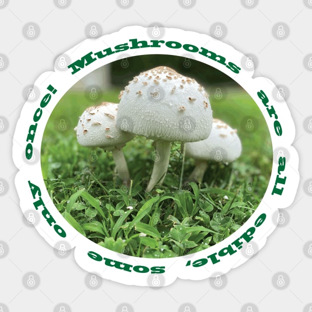 Mushrooms Sticker by DickinsonDesign